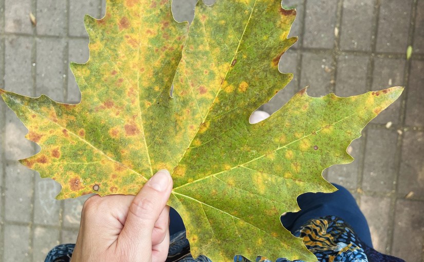 Good deeds, cherry tomatoes, and the power of&nbsp;perspective