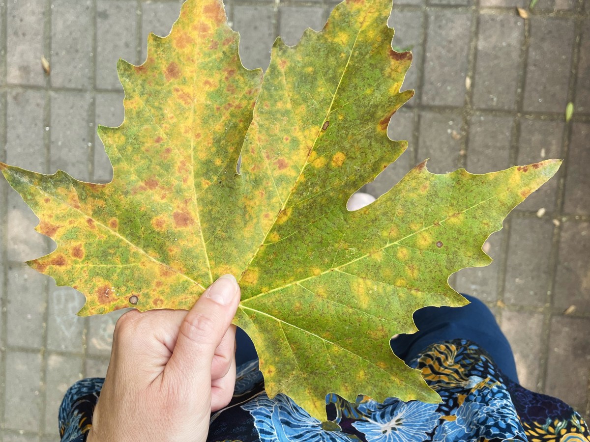 Good deeds, cherry tomatoes, and the power of&nbsp;perspective