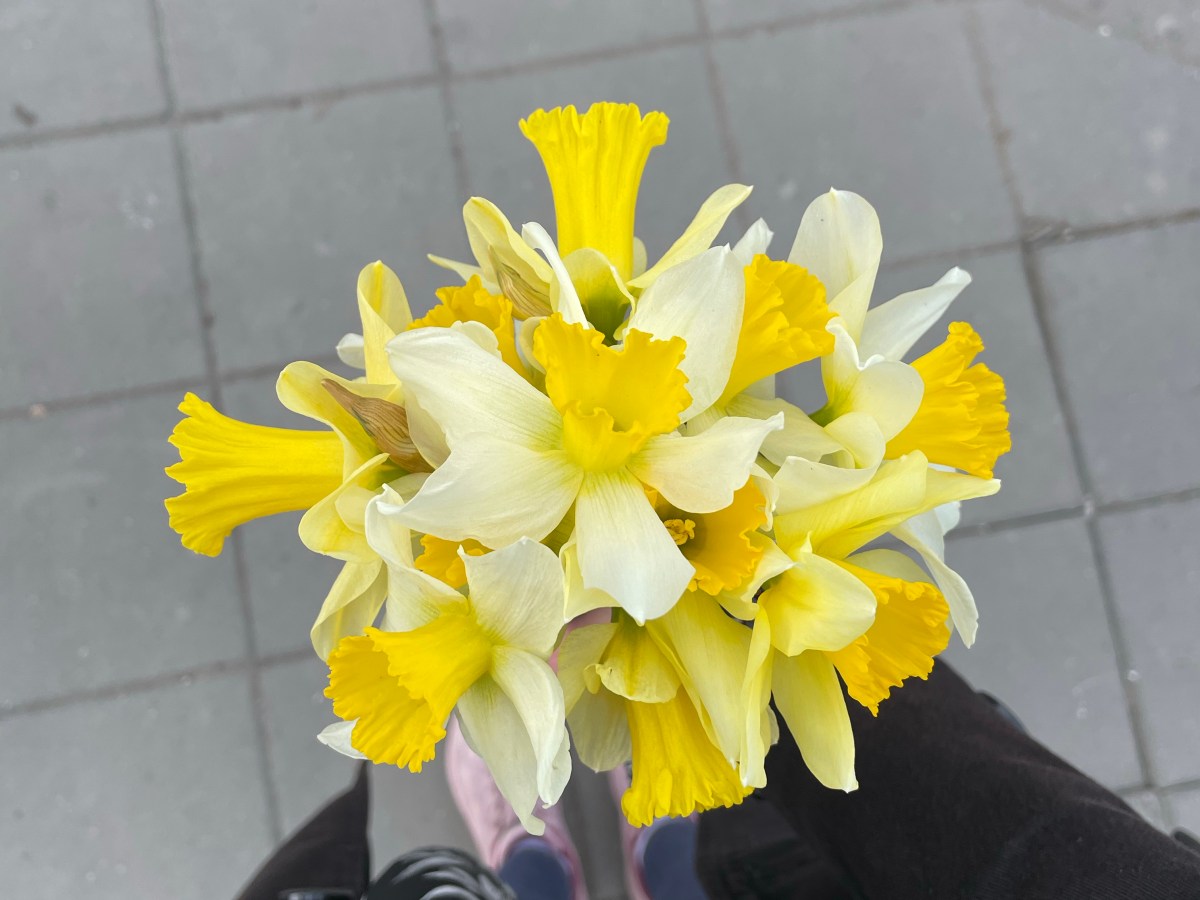 A Little Bit&nbsp;Better